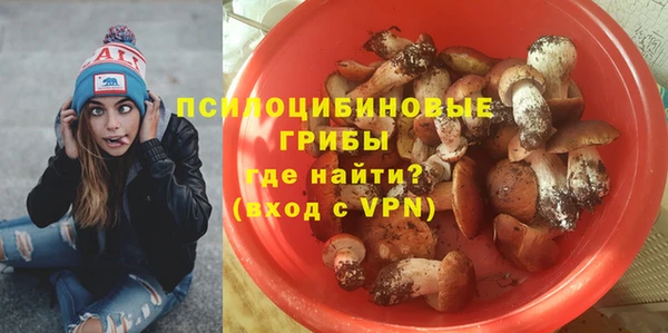 COCAINE Богданович