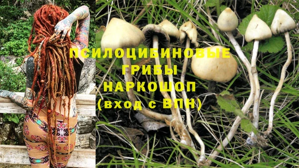 MDMA Богородицк