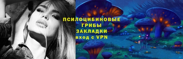 MDMA Богородицк